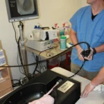 EASIE-R+Small+Bowel+Endoscopy+training