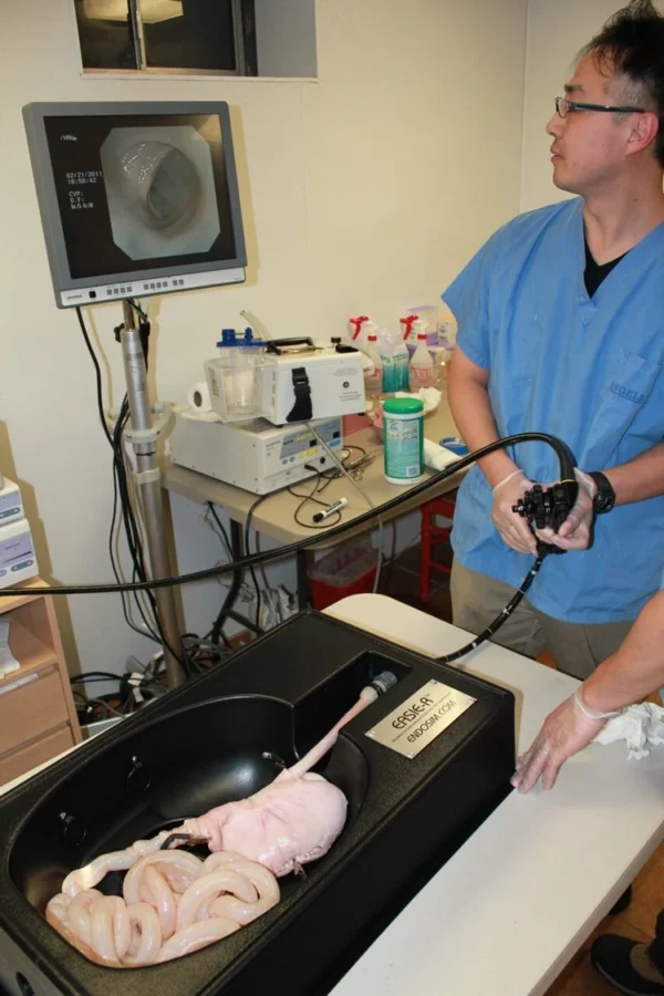 EASIE-R+Small+Bowel+Endoscopy+training