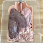 Porcine Explant Specimen